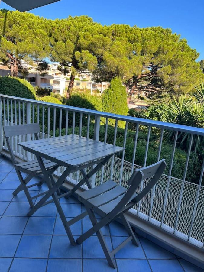 Apartment Dragonniere, Superbe 2p Vue Parc Et Piscine, Pres De Monaco