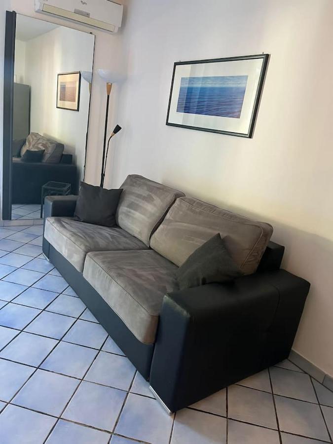 Appartement Dragonniere, Superbe 2p Vue Parc Et Piscine, Pres De Monaco *